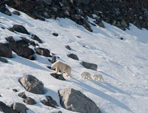 中信銀行愛攝影聯盟，帶您“發現北極發現美”